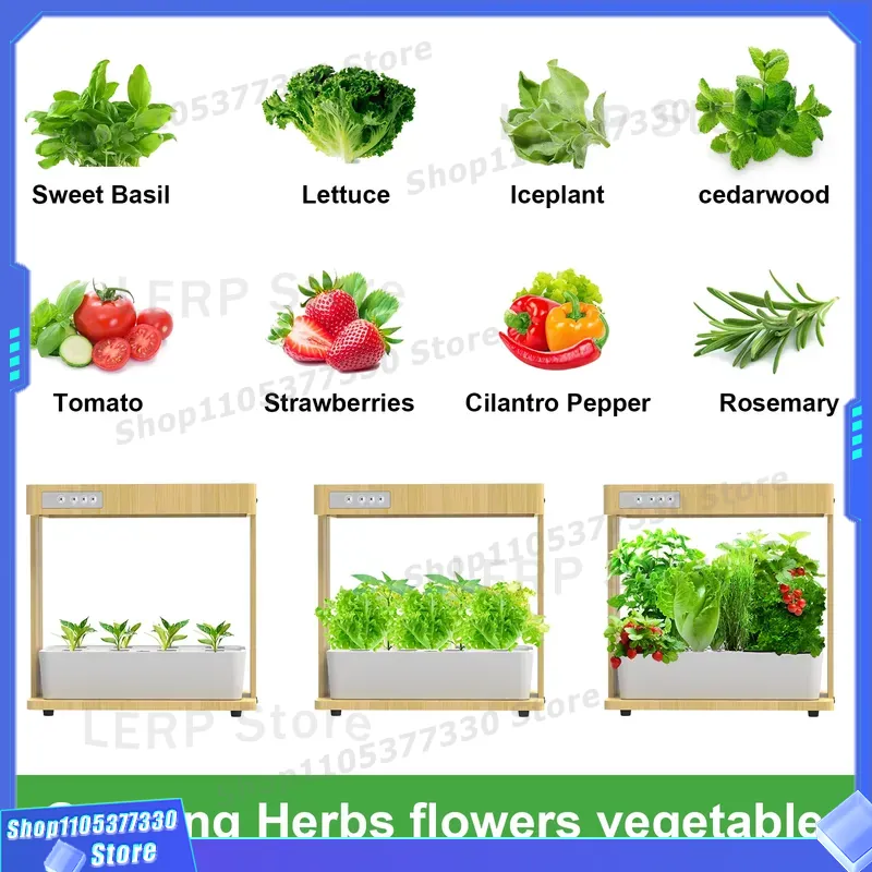 IGS-05 Smart Hydroponisches Ga – Smart Pod Garden Bewertung und Preis