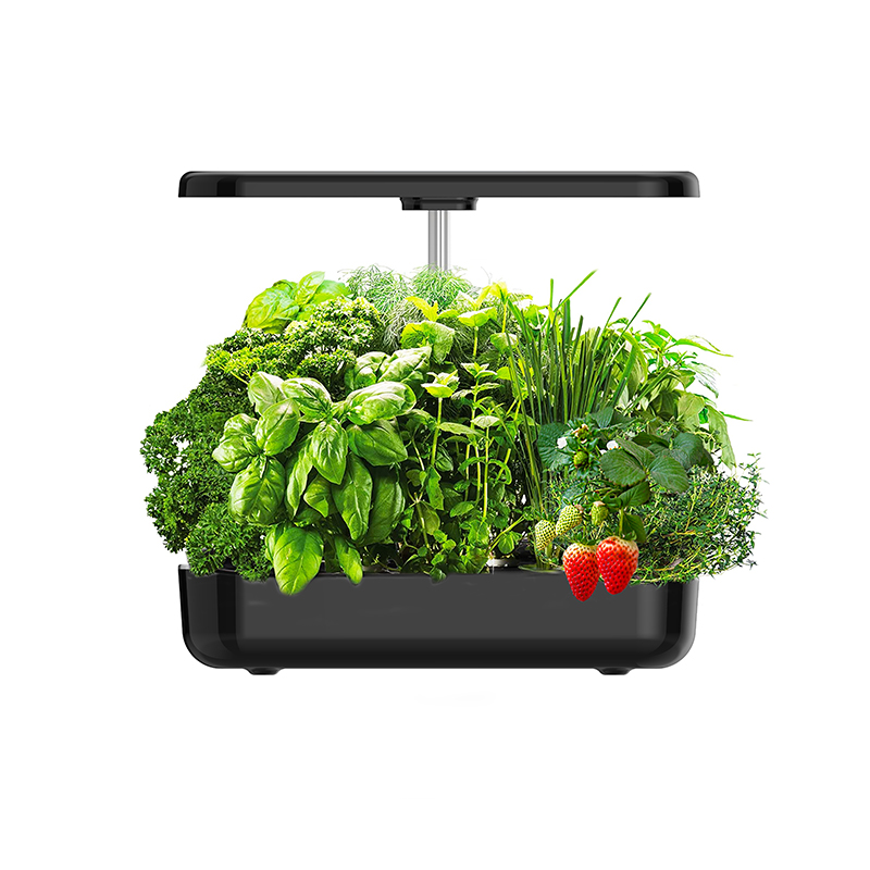 12-Pods Smart Hydroponic Grow  – Smart Pod Garden Bewertung und Preis