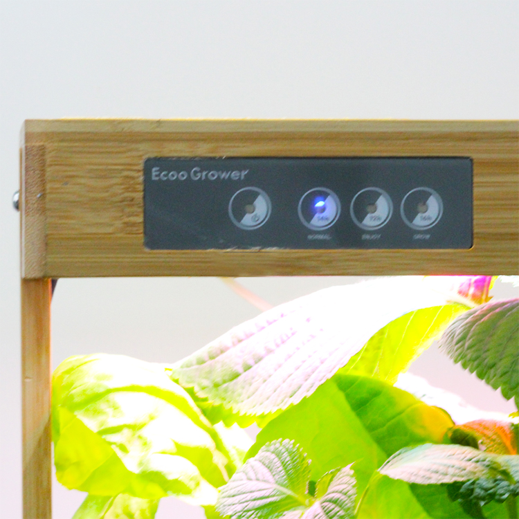 Bamboo Nature 8 Pods Heimhydro – Smart Pod Garden Bewertung und Preis