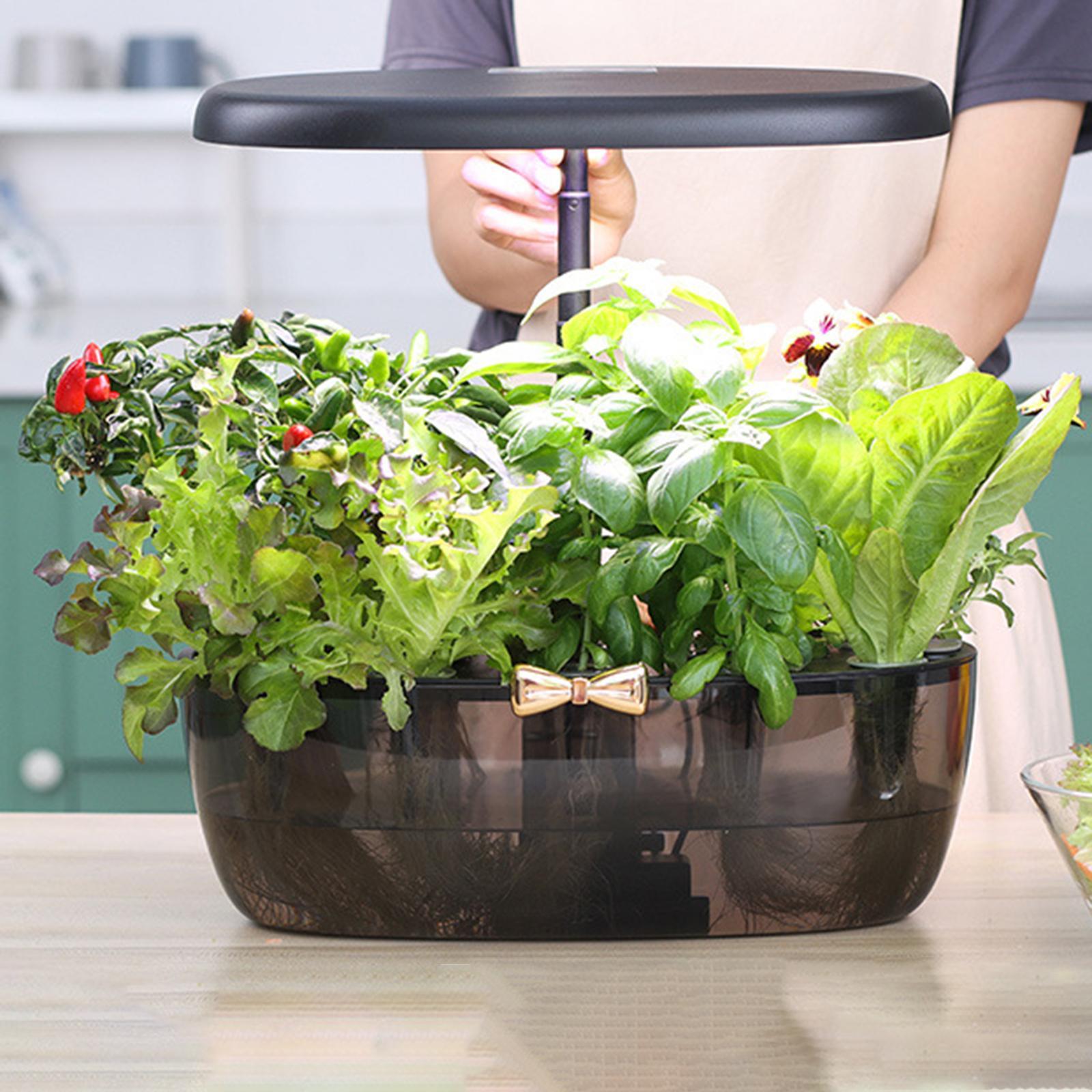 Hydroponik-Wachstumsmaschine,  – Smart Pod Garden Bewertung und Preis