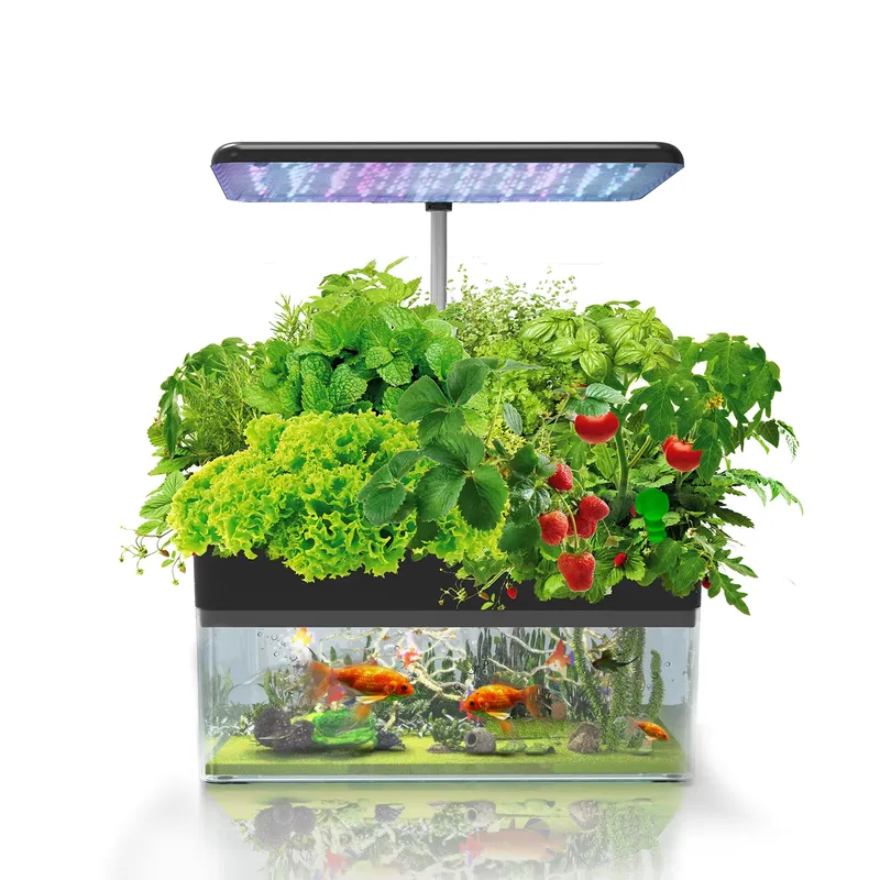 Marke IGS-70 Indoor Hydroponik – Smart Garden Bewertung und Preis