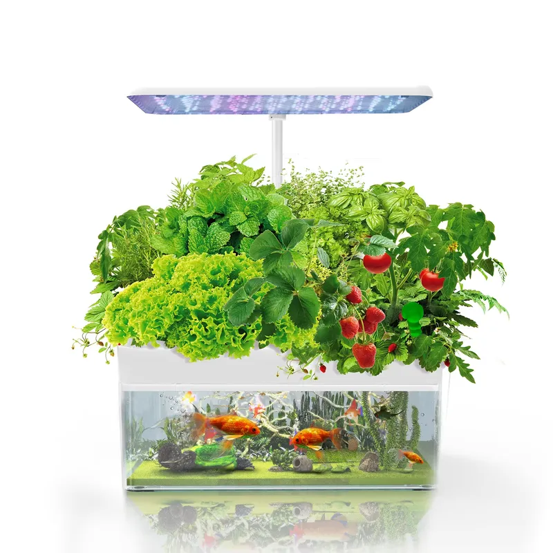 Marke IGS-70 Indoor Hydroponik – Smart Garden Bewertung und Preis