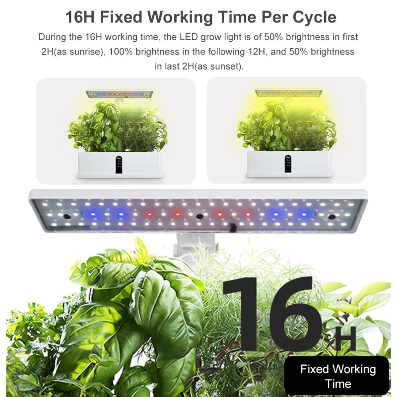 9-Pods Smart Hydroponisches An – Smart Garden Bewertung und Preis