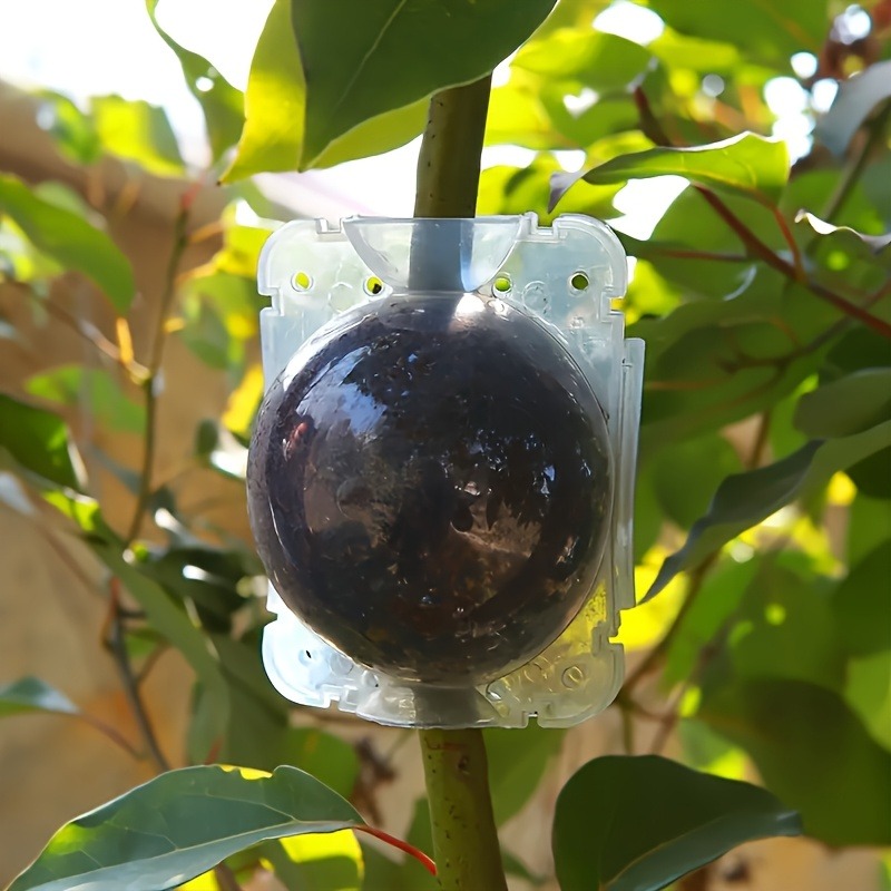 10-teiliges Hochdruck-Pflanzen – Smart Garden Storage Bewertung und Preis