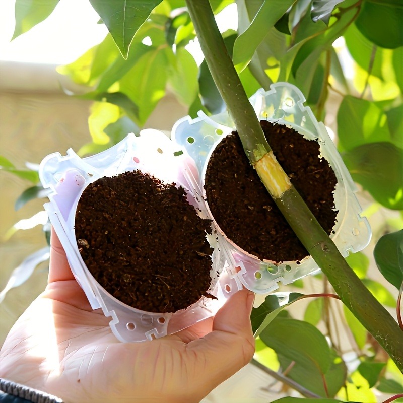 10-teiliges Hochdruck-Pflanzen – Smart Garden Storage Bewertung und Preis