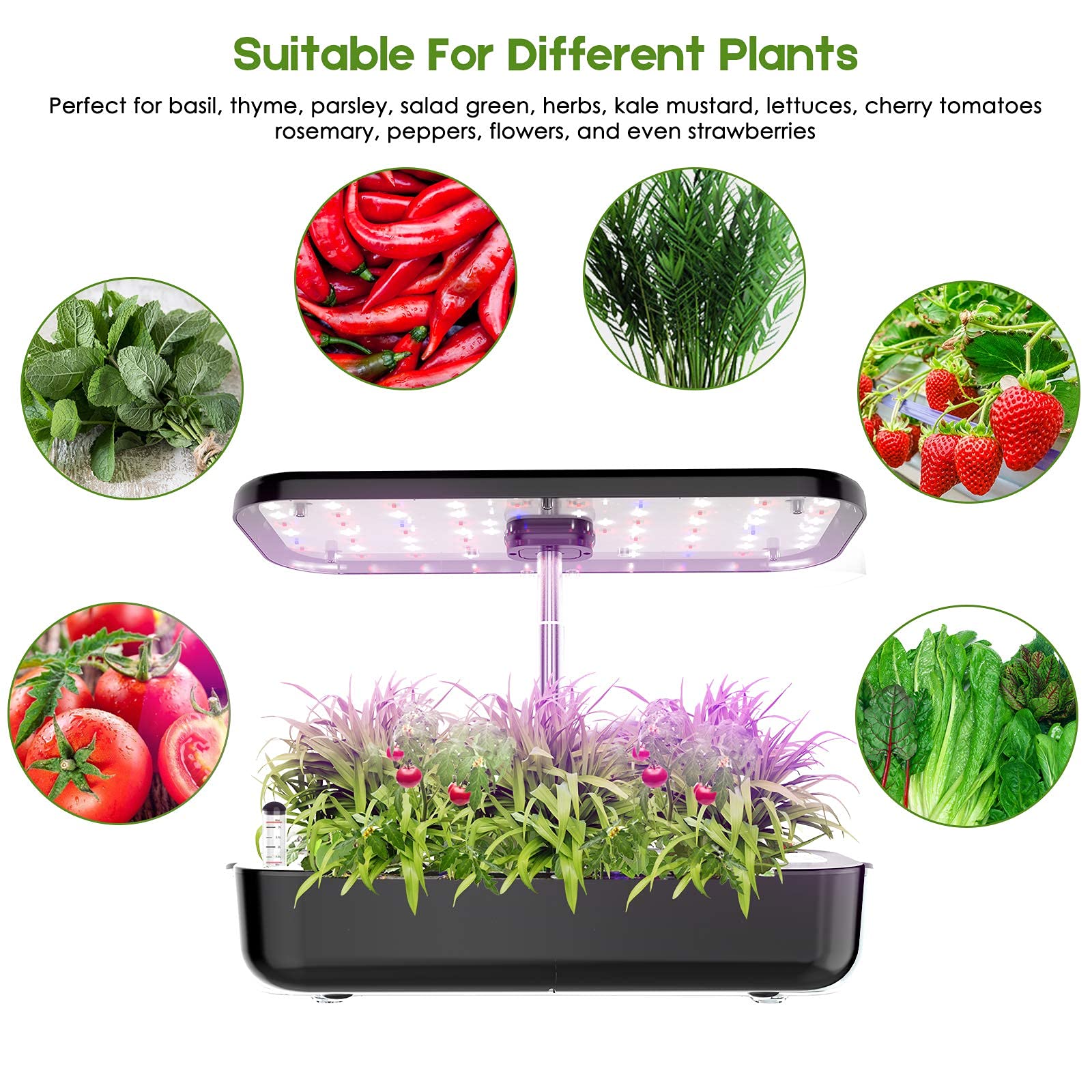 Hydrokultur Wachsen System 12  – Smart Pod Garden Bewertung und Preis