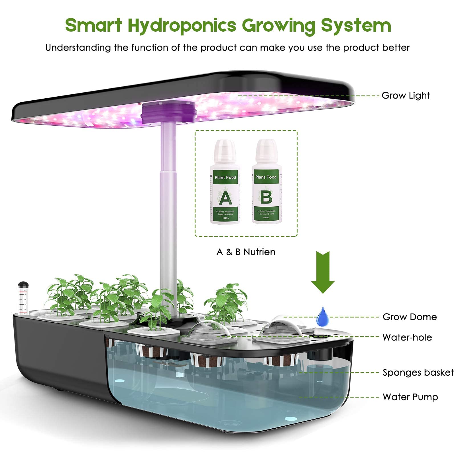 Hydrokultur Wachsen System 12  – Smart Pod Garden Bewertung und Preis